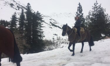 Yerba Loca Horse Riding